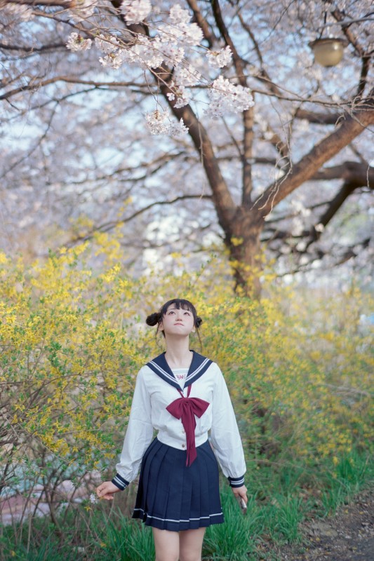 Hendoong’s [Letters From Spring] preview 6