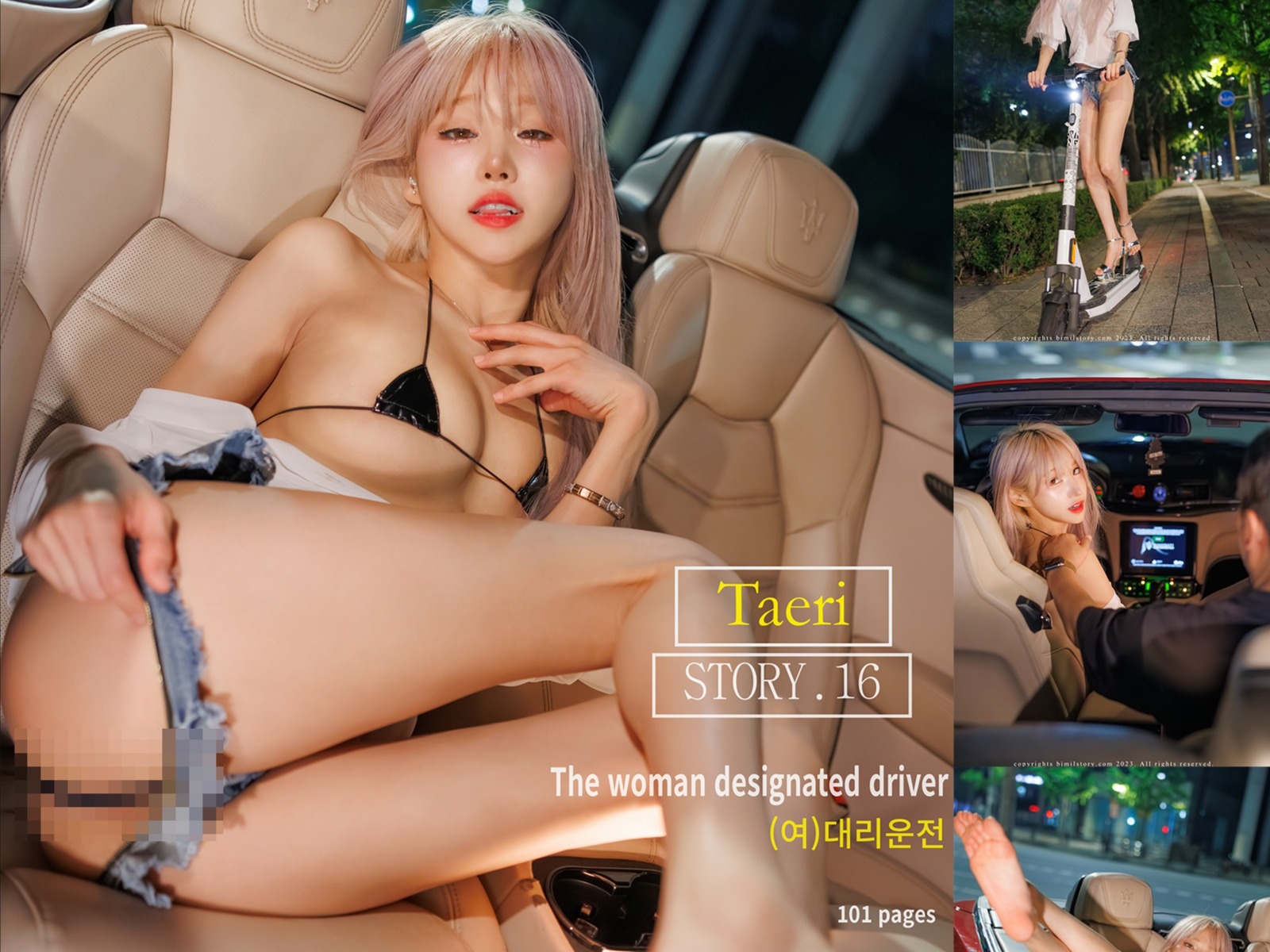 Taeri Vol.16 – [The Woman Designated Driver] album cover